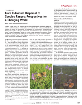 From Individual Dispersal to Species Ranges: Perspectives for A