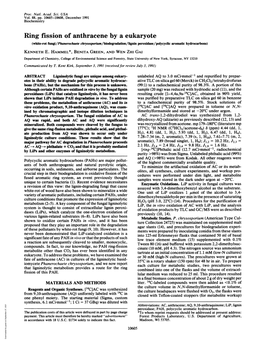 Ring Fission of Anthracene by a Eukaryote (White-Rot Fungi/Phanerochaete Chrysosporwm/Biodegradation/Lignin Peroxidase/Polycyclic Aromatic Hydrocarbons) KENNETH E