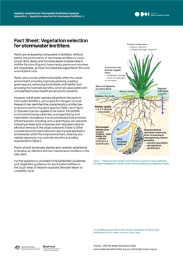 Fact Sheet: Vegetation Selection for Stormwater Biofilters Download