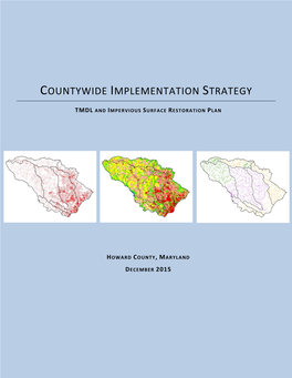 Countywide Implementation Strategy