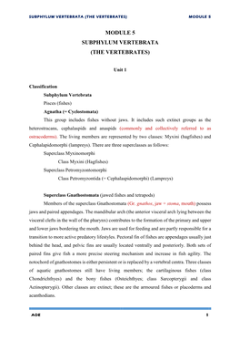 Subphylum Vertebrata (The Vertebrates) Module 5