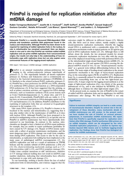 Primpol Is Required for Replication Reinitiation After Mtdna Damage