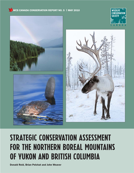 Strategic Conservation Assessment for the Northern Boreal Mountains of Yukon and British Columbia