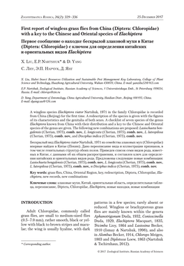 First Report of Wingless Grass Flies from China (Diptera: Chloropidae) With