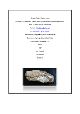 Ganspan Draft Palaeontological Impact Assessment