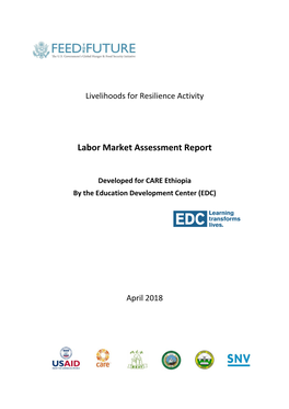 Labor Market Assessment Report