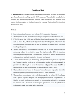 Southern Blot