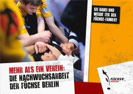 Die Nachwuchsarbeit Der Füchse Berlin Der Traum Vom Profihandball