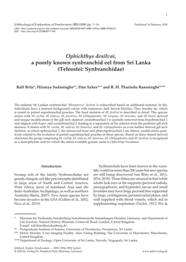 Ophichthys Desilvai, a Poorly Known Synbranchid Eel from Sri Lanka (Teleostei: Synbranchidae)