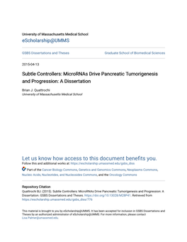 Micrornas Drive Pancreatic Tumorigenesis and Progression: a Dissertation