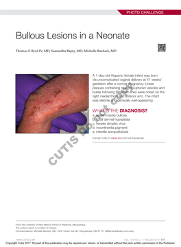 Bullous Lesions in a Neonate