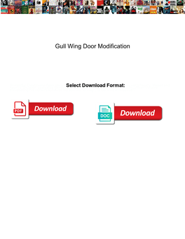 Gull Wing Door Modification