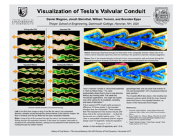 Visualization of Tesla's Valvular Conduit