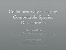 Nathan Wilson Marine Biological Laboratory Director of Biodiversity Informatics for the Encyclopedia of Life