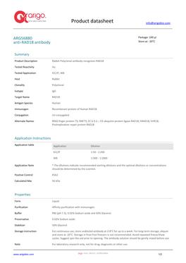 Anti-RAD18 Antibody (ARG56880)