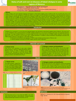 Fusarium Oxysporum F.Sp