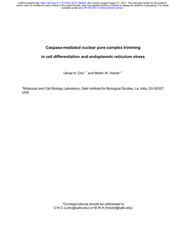 Caspase-Mediated Nuclear Pore Complex Trimming in Cell Differentiation and Endoplasmic Reticulum Stress