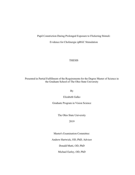 Pupil Constriction During Prolonged Exposure to Flickering Stimuli