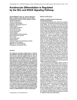 Keratinocyte Differentiation Is Regulated by the Rho and ROCK Signaling Pathway