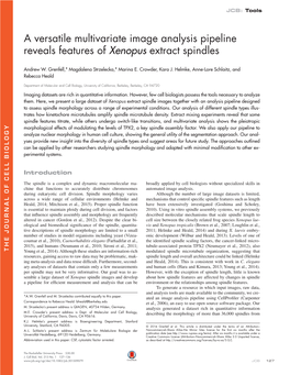 A Versatile Multivariate Image Analysis Pipeline Reveals Features of Xenopus Extract Spindles