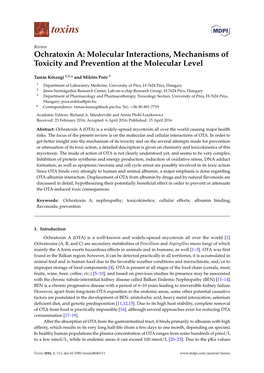 Ochratoxin A: Molecular Interactions, Mechanisms of Toxicity and Prevention at the Molecular Level