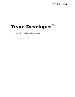 Team Developer™