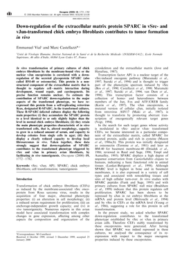 Down-Regulation of the Extracellular Matrix Protein SPARC in Vsrc- and Vjun-Transformed Chick Embryo ®Broblasts Contributes to Tumor Formation in Vivo