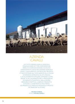 Azienda Cavalli