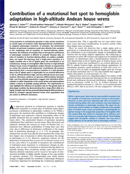 Contribution of a Mutational Hot Spot to Hemoglobin Adaptation in High-Altitude Andean House Wrens