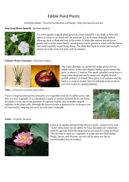 Edible Pond Plants