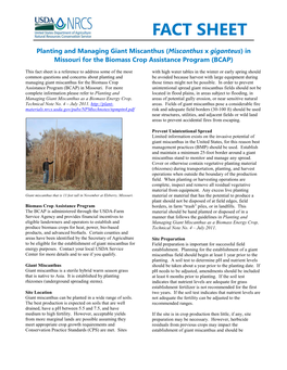 Plant Fact Sheet for Planting and Managing Giant Miscanthus (Miscanthus X Giganteus) in Missouri for the Biomass Crop Assistance