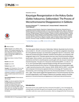 Karyotype Reorganization in the Hokou Gecko (Gekko Hokouensis, Gekkonidae): the Process of Microchromosome Disappearance in Gekkota