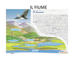 Il Fiume Il Fiume