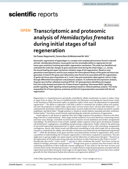 Transcriptomic and Proteomic Analysis of Hemidactylus Frenatus During Initial Stages of Tail Regeneration Sai Pawan Nagumantri, Sarena Banu & Mohammed M