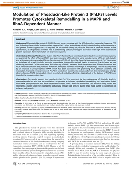 Modulation of Phosducin-Like Protein 3 (Phlp3) Levels Promotes Cytoskeletal Remodelling in a MAPK and Rhoa-Dependent Manner