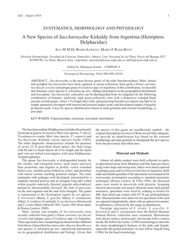 A New Species of Saccharosydne Kirkaldy from Argentina (Hemiptera: Delphacidae)