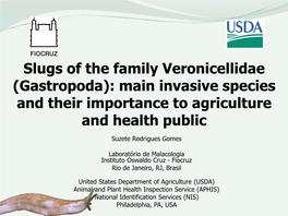 Slugs of the Family Veronicellidae (Gastropoda): Main Invasive Species and Their Importance to Agriculture and Health Public Suzete Rodrigues Gomes