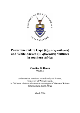 Power Line Risk to Cape (Gyps Coprotheres) and White-Backed (G