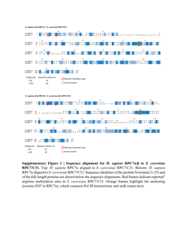 Supplementary Figure 1 | Sequence Alignment for H. Sapiens Rpc7α/Β to S