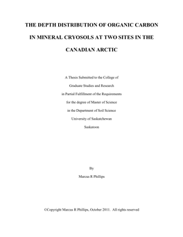 The Depth Distribution of Organic Carbon in Mineral Cryosols (Permafrost-Affected Soils)