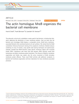 The Actin Homologue Mreb Organizes the Bacterial Cell Membrane