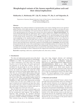 Morphological Variants of the Human Superficial Palmar Arch and Their Clinical Implications