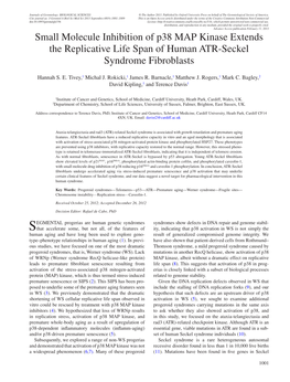 Small Molecule Inhibition of P38 MAP Kinase Extends the Replicative Life Span of Human ATR-Seckel Syndrome Fibroblasts