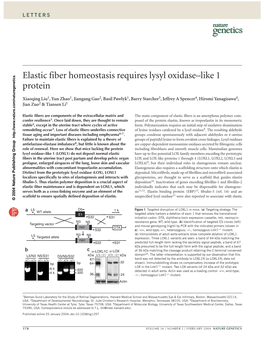 Elastic Fiber Homeostasis Requires Lysyl Oxidase–Like 1 Protein