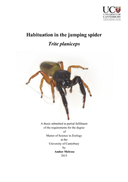Habituation in the Jumping Spider Trite Planiceps