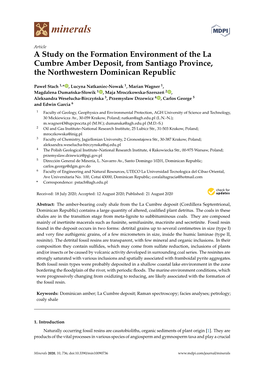 A Study on the Formation Environment of the La Cumbre Amber Deposit, from Santiago Province, the Northwestern Dominican Republic