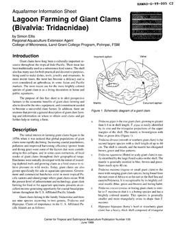 Lagoon Farming of Giant Clams Bivalvia