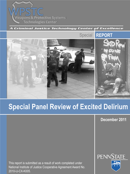 Special Panel Review of Excited Delirium