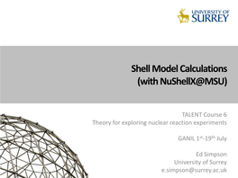 Shell Model Calculations (With Nushellx@MSU)