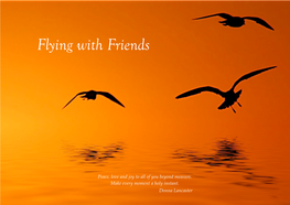 Flying with Friends